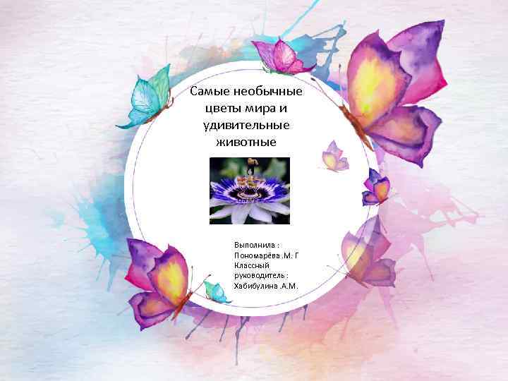 Самые необычные цветы мира и удивительные животные Выполнила : Пономарёва. М. Г Классный руководитель