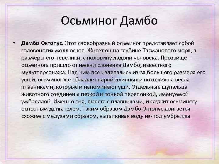 Осьминог Дамбо • Дамбо Октопус. Этот своеобразный осьминог представляет собой головоногих моллюсков. Живет он