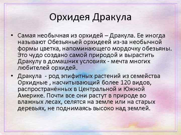 Орхидея Дракула • Самая необычная из орхидей – Дракула. Ее иногда называют Обезьяньей орхидеей