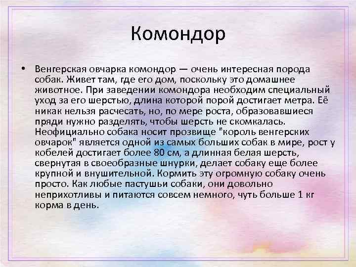 Комондор • Венгерская овчарка комондор — очень интересная порода собак. Живет там, где его