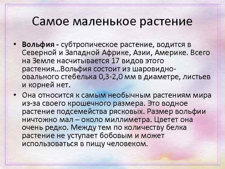 Самое маленькое растение • Вольфия - субтропическое растение, водится в Северной и Западной Африке,