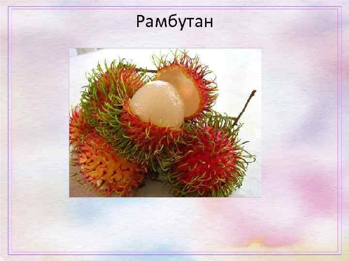 Рамбутан 