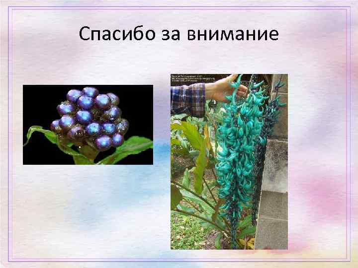 Спасибо за внимание 