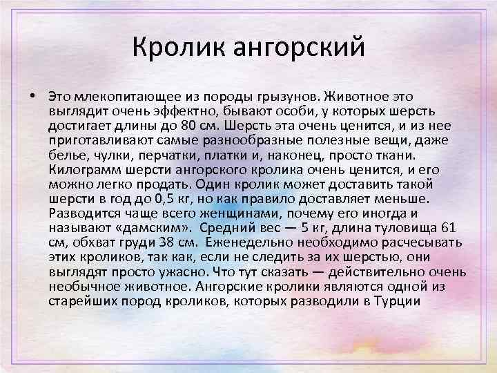 Кролик ангорский • Это млекопитающее из породы грызунов. Животное это выглядит очень эффектно, бывают
