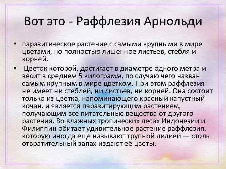 Вот это - Раффлезия Арнольди • паразитическое растение с самыми крупными в мире цветами,