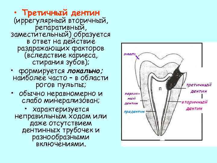 Интактный зуб это