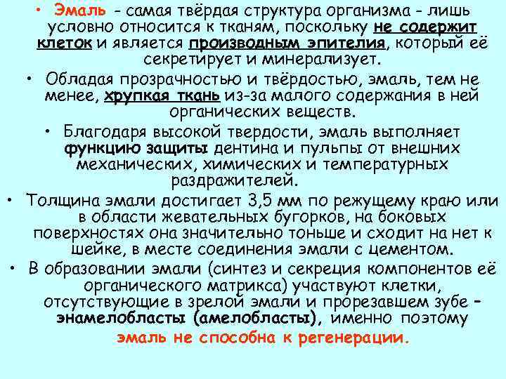  • Эмаль - самая твёрдая структура организма - лишь условно относится к тканям,