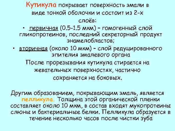 Кутикула покрывает поверхность эмали в виде тонкой оболочки и состоит из 2 -х слоёв: