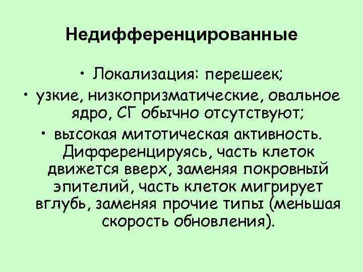 Имеют недифференцированный таллом могут иметь. Недифференцированные. Недифференцированные структуры. Недифференцированные клетки. Недифференцированное состояние.