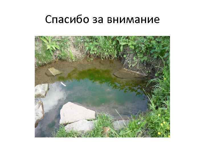 Спасибо за внимание 