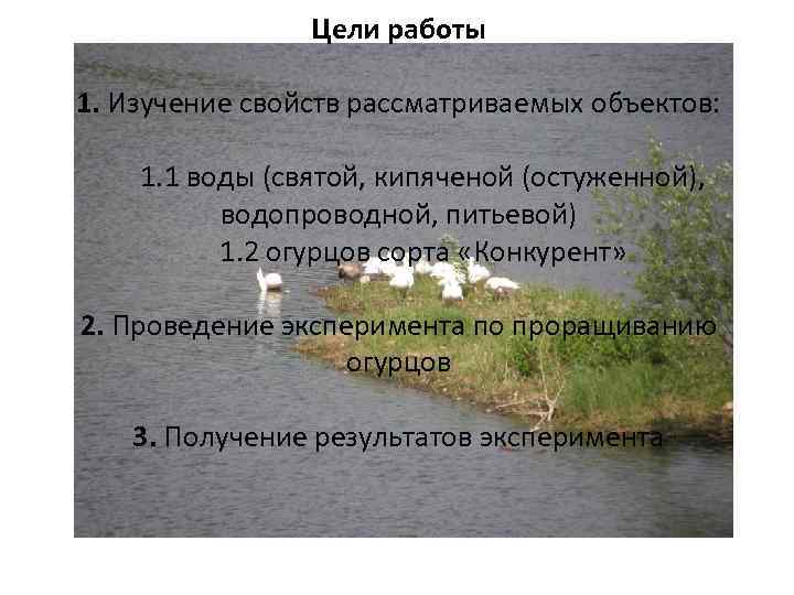 Цели работы 1. Изучение свойств рассматриваемых объектов: 1. 1 воды (святой, кипяченой (остуженной), водопроводной,
