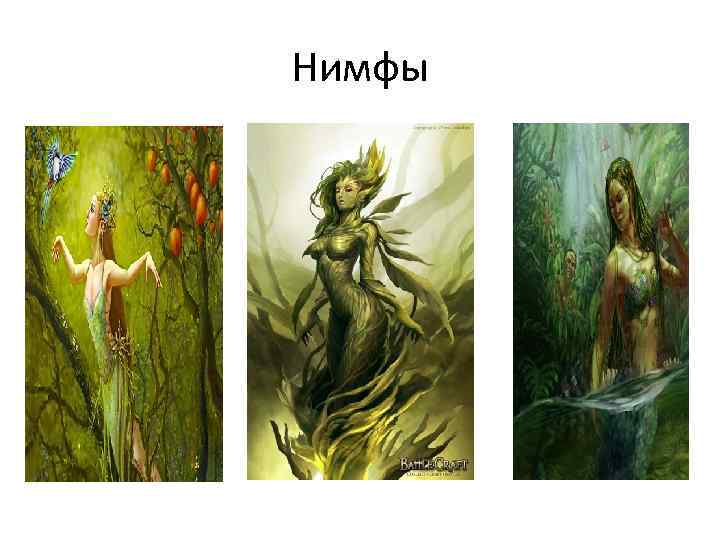 Нимфы 