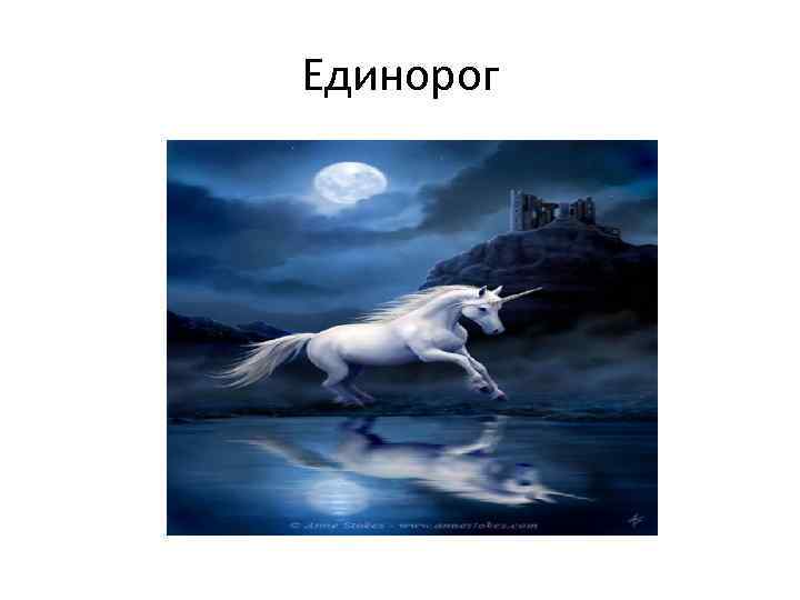 Единорог 