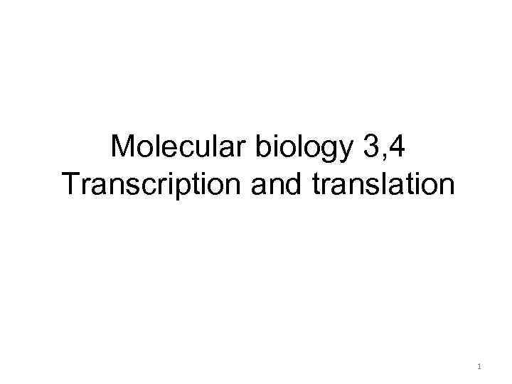 Molecular biology 3, 4 Transcription and translation 1 