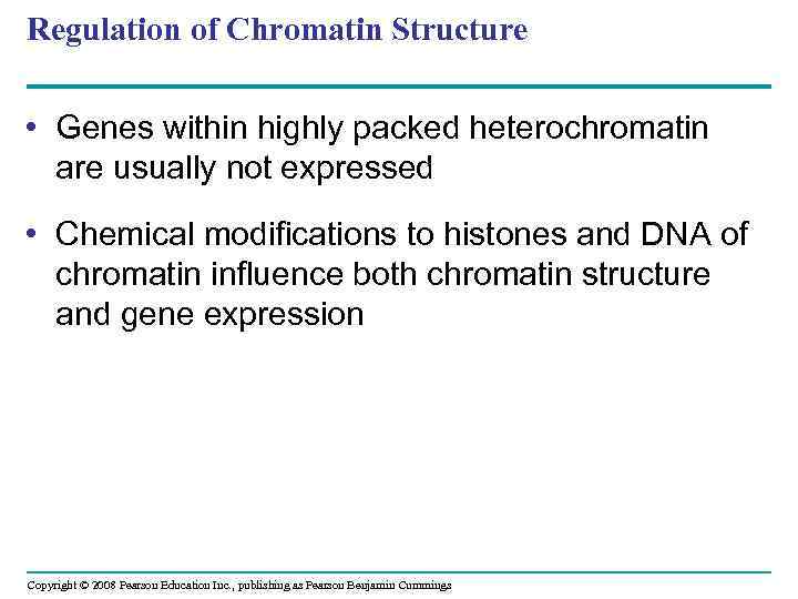 Regulation of Chromatin Structure • Genes within highly packed heterochromatin are usually not expressed