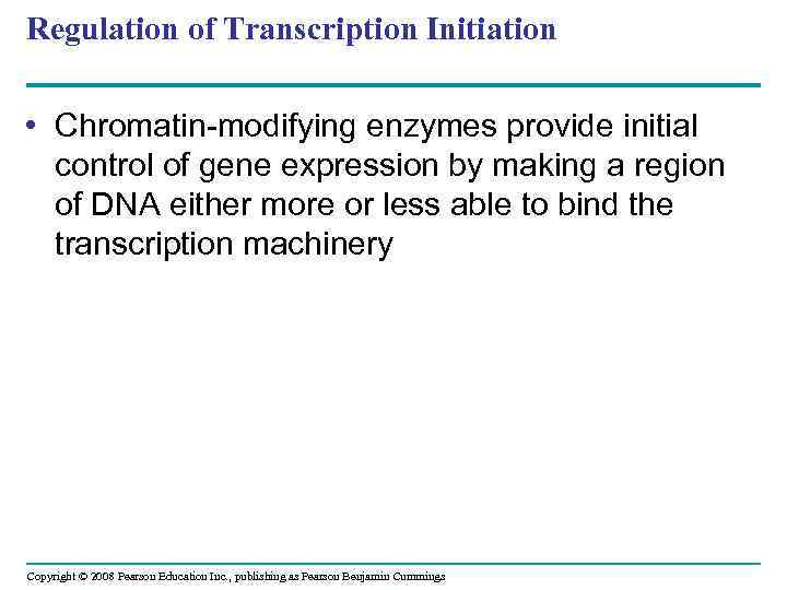 Regulation of Transcription Initiation • Chromatin-modifying enzymes provide initial control of gene expression by