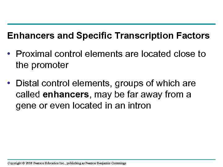 Enhancers and Specific Transcription Factors • Proximal control elements are located close to the