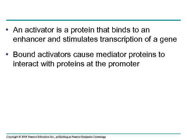  • An activator is a protein that binds to an enhancer and stimulates