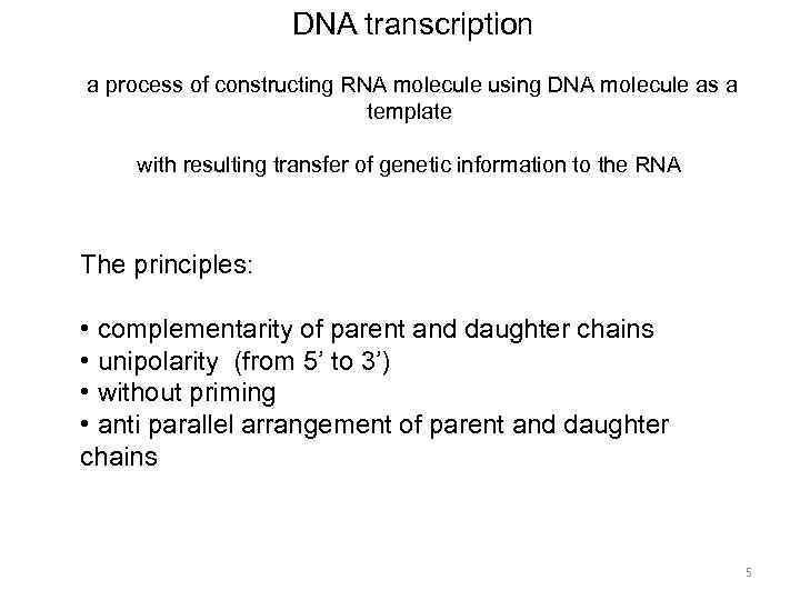 DNA transcription a process of constructing RNA molecule using DNA molecule as a template