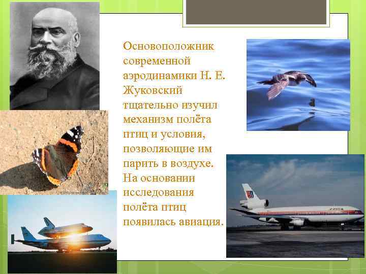 Основоположник современной аэродинамики Н. Е. Жуковский тщательно изучил механизм полёта птиц и условия, позволяющие