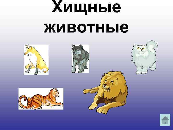 Хищные животные 