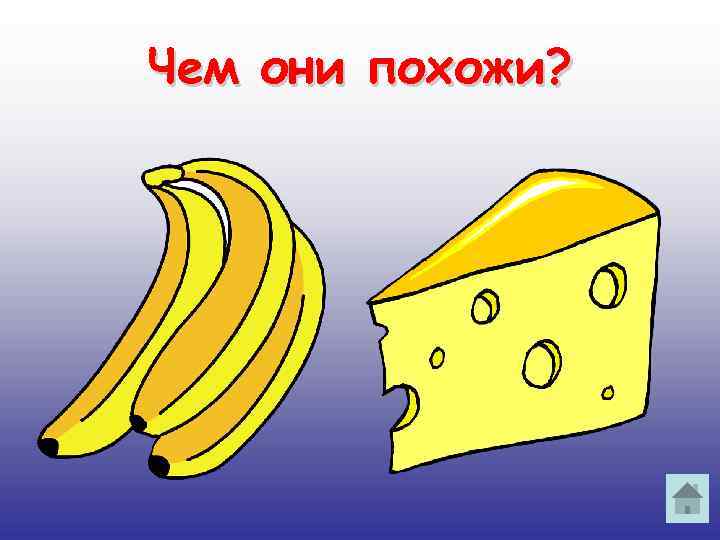 Чем они похожи? 
