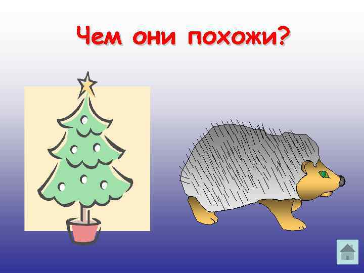 Чем они похожи? 
