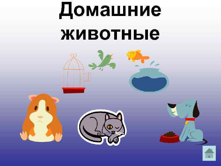 Домашние животные 