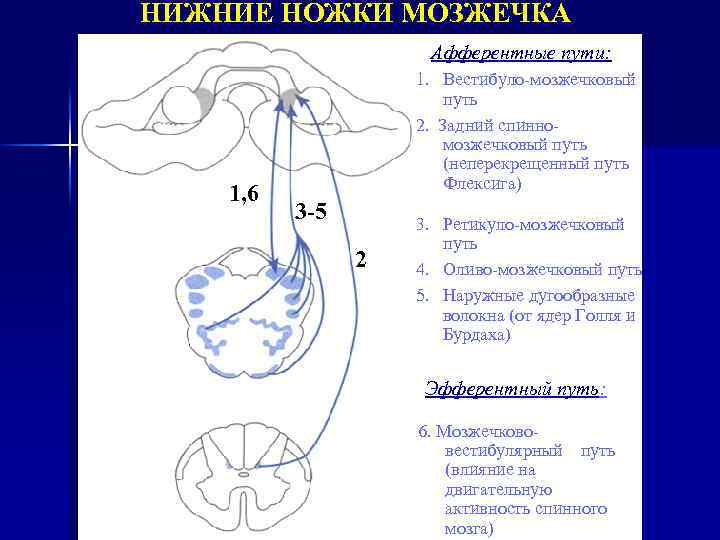 Путь флексига