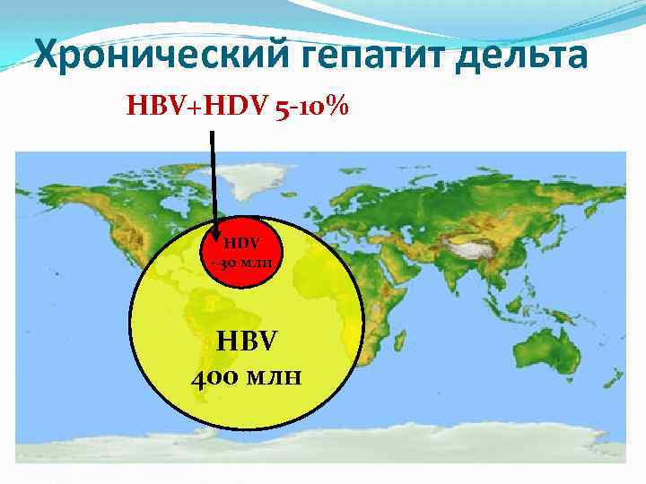 Хронический гепатит дельта HBV+HDV 5 -10% HDV ~30 млн HBV 400 млн 