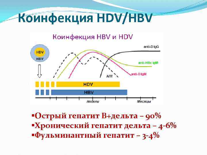 Коинфекция HDV/HBV §Острый гепатит В+дельта – 90% §Хронический гепатит дельта – 4 -6% §Фульминантный