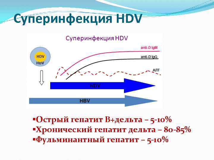 Суперинфекция HDV §Острый гепатит В+дельта – 5 -10% §Хронический гепатит дельта – 80 -85%