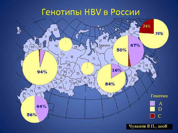 Генотипы HBV в России 24% 76% 50% 94% 47% 16% 84% Генотип 44% 56%