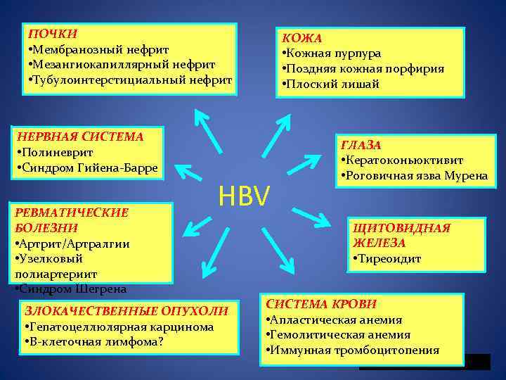 ПОЧКИ • Мембранозный нефрит • Мезангиокапиллярный нефрит • Тубулоинтерстициальный нефрит КОЖА • Кожная пурпура
