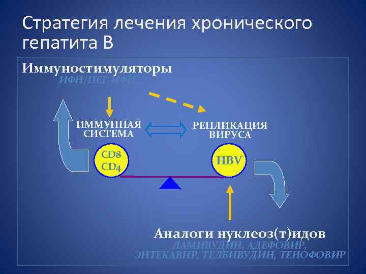 Стратегия лечения хронического гепатита В Иммуностимуляторы ИФН/ПЕГ-ИФН ИММУННАЯ СИСТЕМА РЕПЛИКАЦИЯ ВИРУСА CD 8 CD