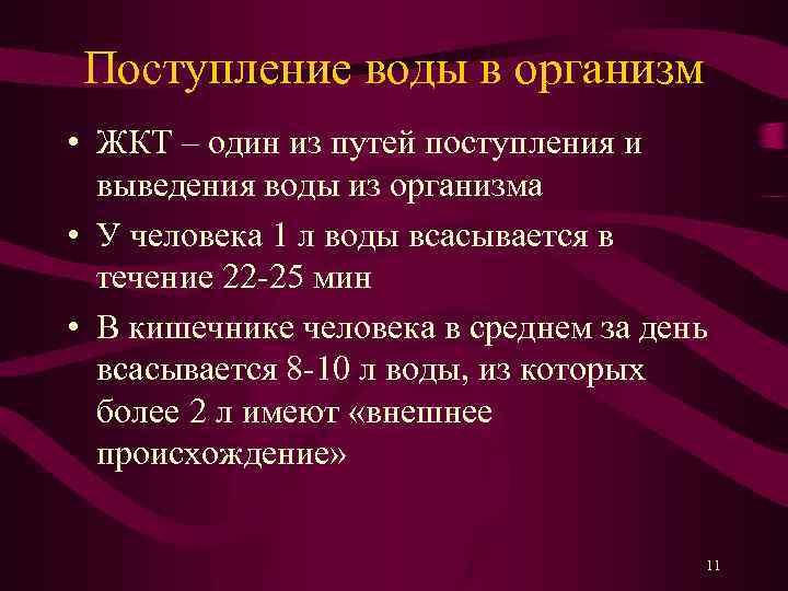 Поступление воды в организм • ЖКТ – один из путей поступления и выведения воды