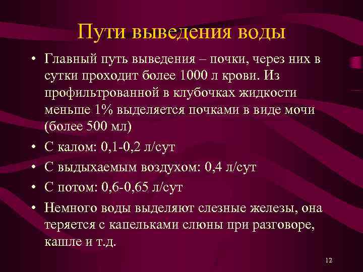 Пути выведения воды • Главный путь выведения – почки, через них в сутки проходит