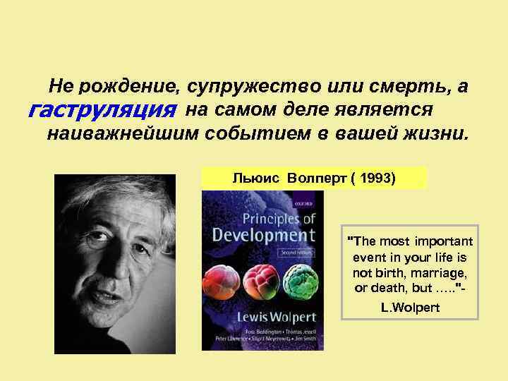 Не рождение, супружество или смерть, а … гаструляция на самом деле является наиважнейшим событием