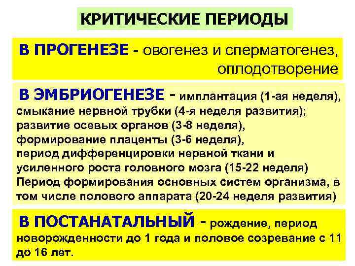 КРИТИЧЕСКИЕ ПЕРИОДЫ В ПРОГЕНЕЗЕ - овогенез и сперматогенез, оплодотворение В ЭМБРИОГЕНЕЗЕ - имплантация (1