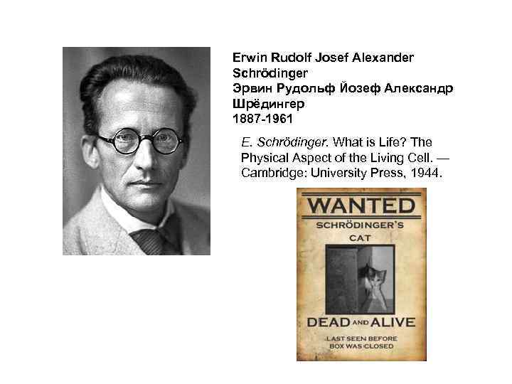 Erwin Rudolf Josef Alexander Schrödinger Эрвин Рудольф Йозеф Александр Шрёдингер 1887 -1961 E. Schrödinger.