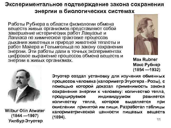 Экспериментальное подтверждение. Немецкий физиолог м. Рубнер. Сеория старения Рубнер. Н Рубнер теория старения. Энергетическая теория старения Рубнера.