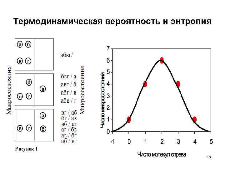 Термодинамическая вероятность и энтропия 17 