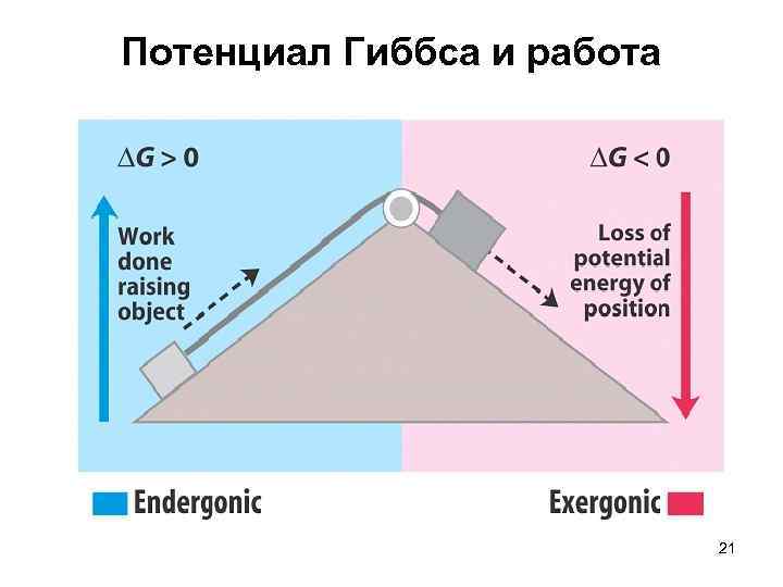 Потенциал Гиббса и работа 21 