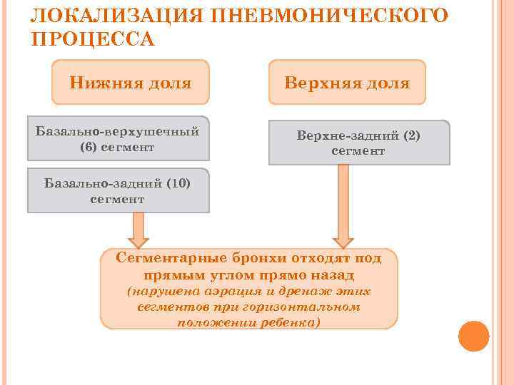 ЛОКАЛИЗАЦИЯ ПНЕВМОНИЧЕСКОГО ПРОЦЕССА Нижняя доля Базально-верхушечный (6) сегмент Верхняя доля Верхне-задний (2) сегмент Базально-задний