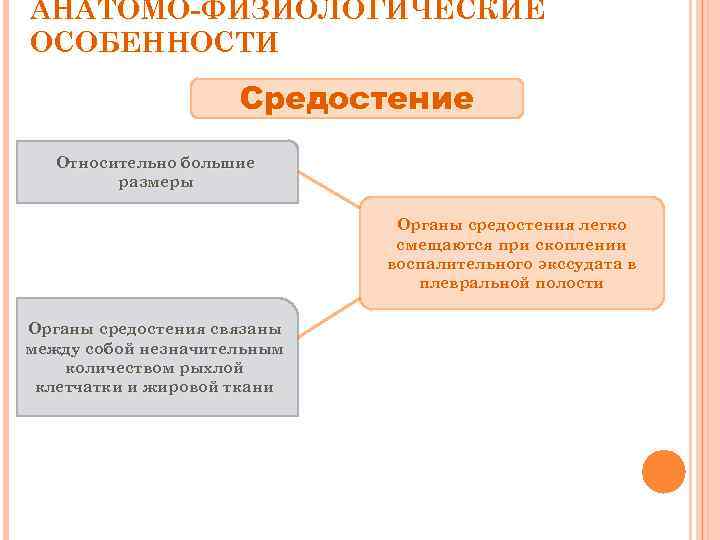 АНАТОМО-ФИЗИОЛОГИЧЕСКИЕ ОСОБЕННОСТИ Средостение Относительно большие размеры Органы средостения легко смещаются при скоплении воспалительного экссудата