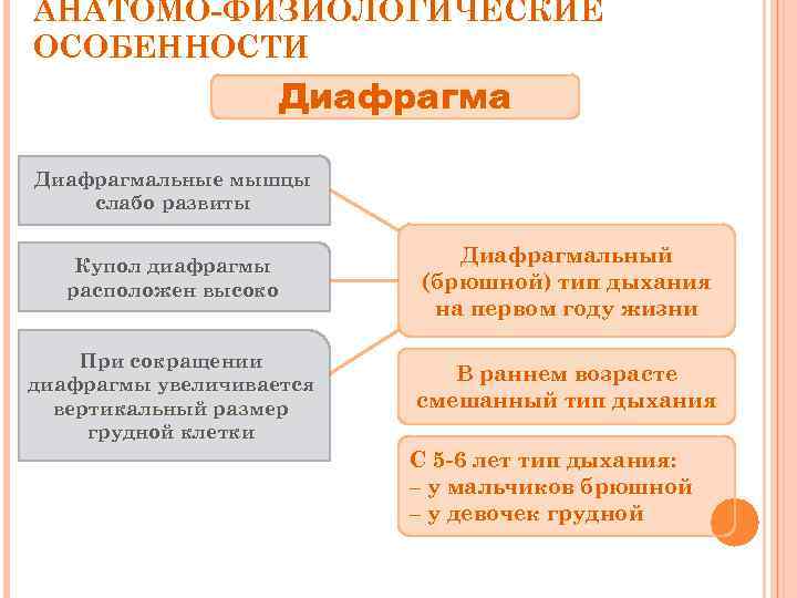 АНАТОМО-ФИЗИОЛОГИЧЕСКИЕ ОСОБЕННОСТИ Диафрагмальные мышцы слабо развиты Купол диафрагмы расположен высоко Диафрагмальный (брюшной) тип дыхания