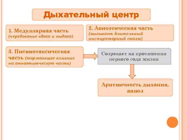 Дыхательный центр 1. Медуллярная часть (чередование вдоха и выдоха) 3. Пневмотаксическая часть (тормозящее влияние