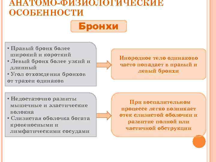 АНАТОМО-ФИЗИОЛОГИЧЕСКИЕ ОСОБЕННОСТИ Бронхи • Правый бронх более широкий и короткий • Левый бронх более