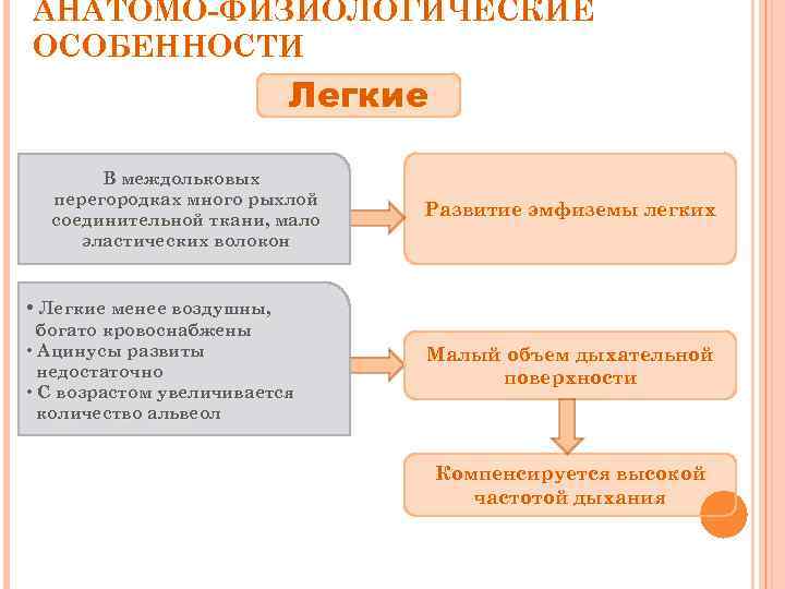 АНАТОМО-ФИЗИОЛОГИЧЕСКИЕ ОСОБЕННОСТИ Легкие В междольковых перегородках много рыхлой соединительной ткани, мало эластических волокон Развитие