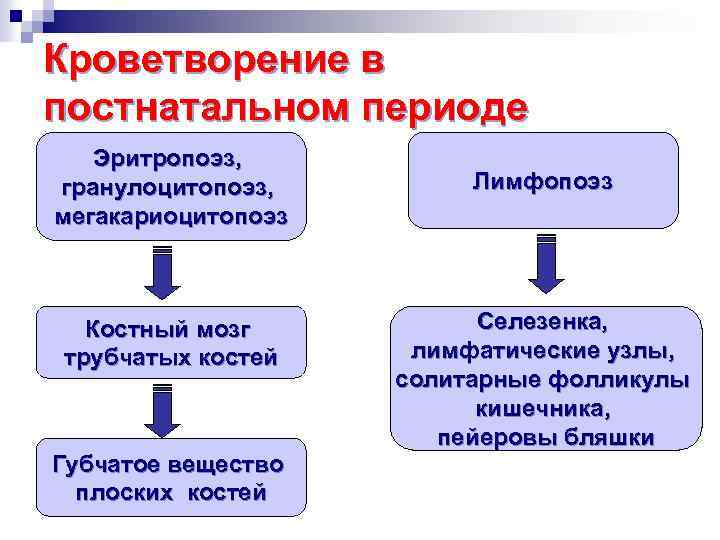 Осуществляется в период